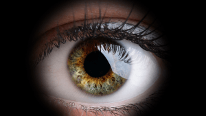 new enchroma lenses, enchroma lx, eyes on st albans