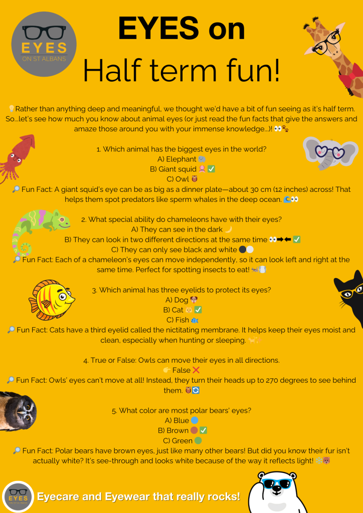 EYES on St Albans Half Term Fun article in St Albans Times