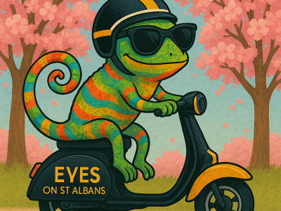 EYES on Hayfever - looking after your eyes in the pollen season