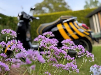 EYES on Hayfever season